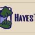 Hayes Team Property Managers